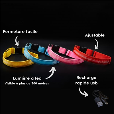 Photo 13 avec Woafy | Collier lumineux pour chien pour la thématique : santé – médical