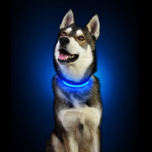 Woafy | Collier lumineux pour chien, un blog bien-être